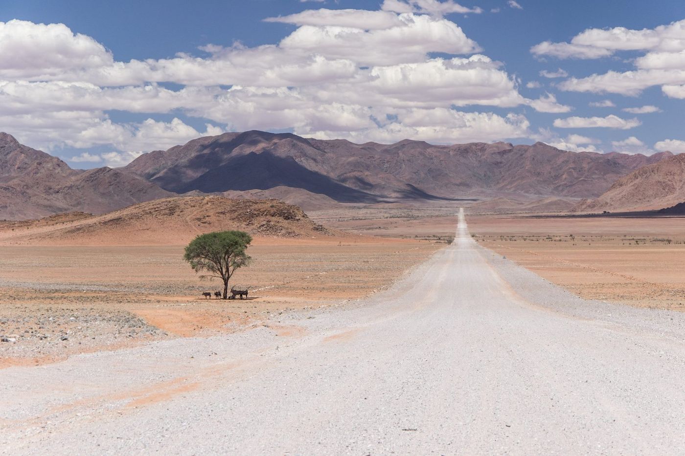 Schotterpiste durch die Wüste Namibias, im Hintergrund Berge